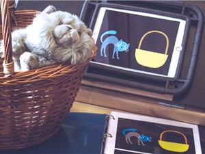  Motiv košíku a kočky - dalšího zvířete, které je vašim dětem jistě známé - najdete také v aplikaci EDA PLAY PAULI. V ní dotykem na obrazovku iPadu dostanete kočku do košíku. Pro další inspirace, jak zapojit předměty do hry dětí, navštivte další podstránku tohoto webu s tipy.