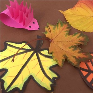 Vezměte si vyrobeného papírového ježka a do listů ho schovejte.